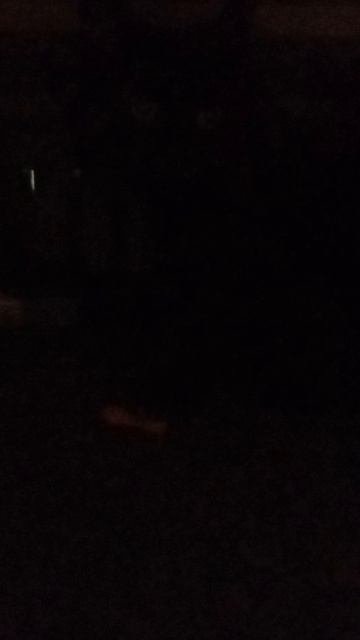 его не видно!!!!