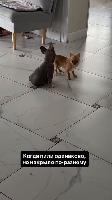 Точно в такт музыке 😄