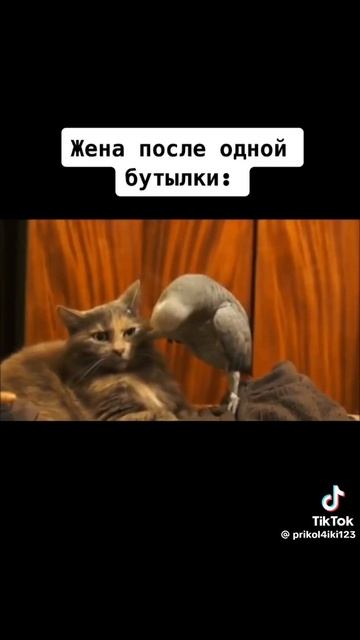 Кто ты по жизни?) 😂