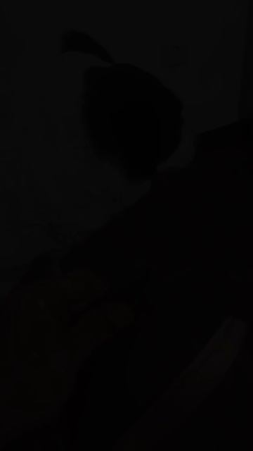 Жизнь любимой обуви не ограничивается одной, если в дело вступаем мы
