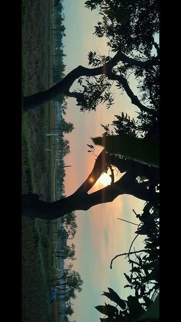 IPhone 17 Pro Max Best Lens