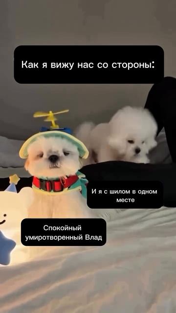 Я и муж со стороны 😂 | SMM