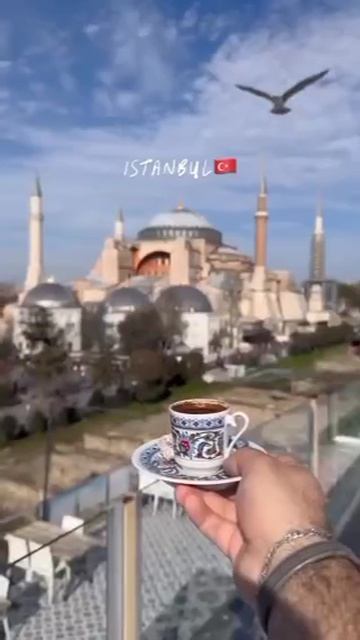 YouCut_20251010_054839372.mp4