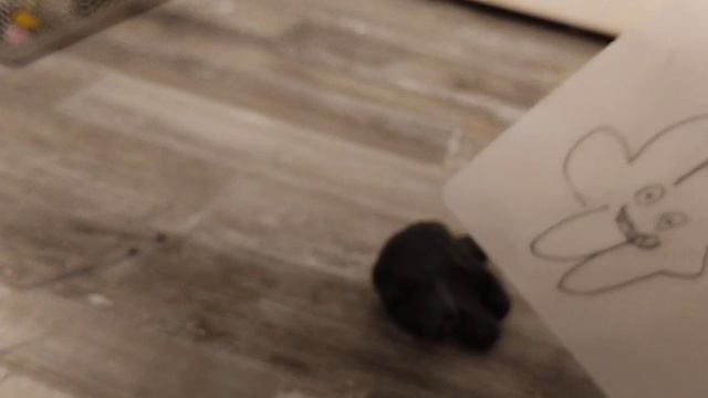 Нулевое (0) видео