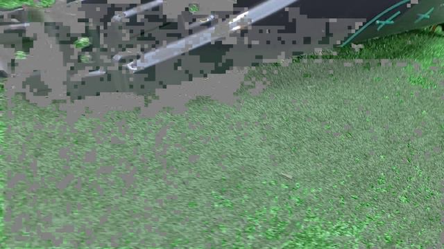 7981166