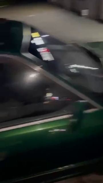 E34 игуанна