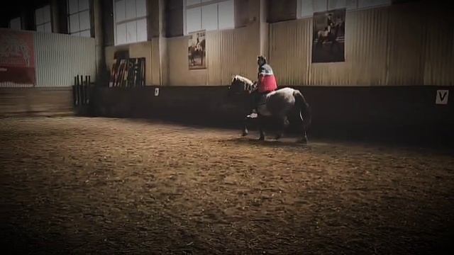 Конная выездка.mp4