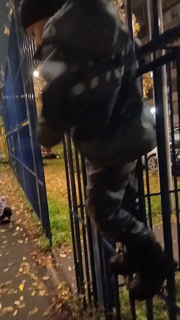 двор