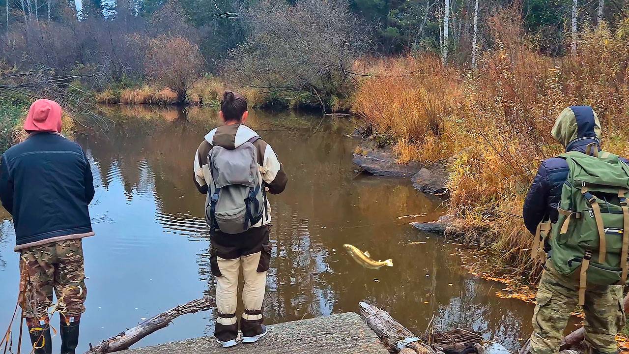 РЫБАЛКА НА СПИННИНГ, УДОЧКУ И ПОДСТАВНЫЕ