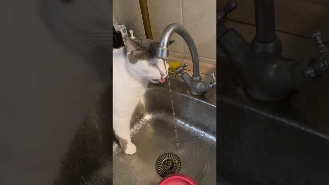 Жажда все