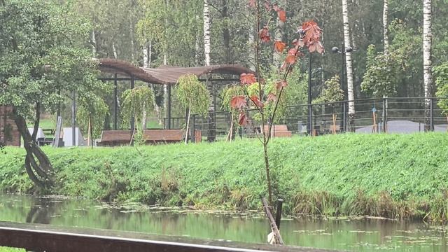 🌲Чудесный парк🌲