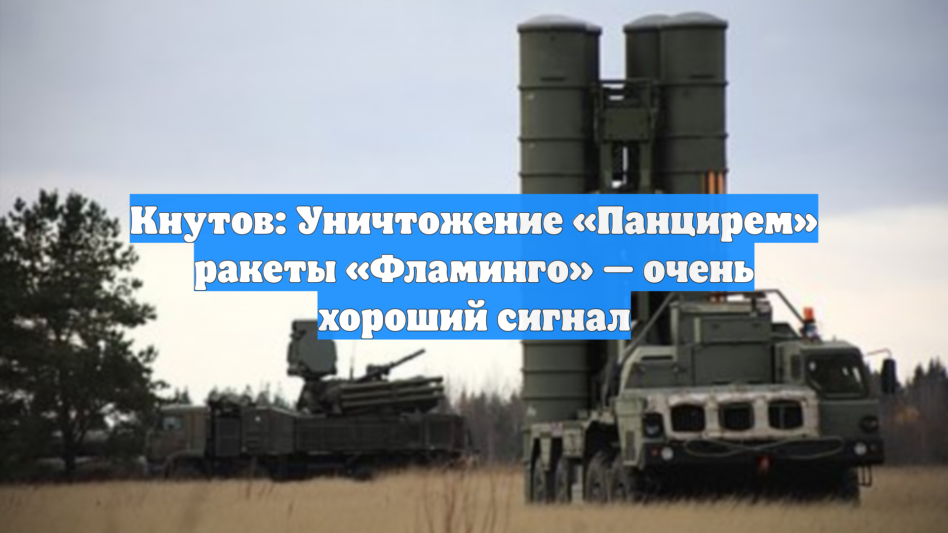 Кнутов: Уничтожение «Панцирем» ракеты «Фламинго» — очень хороший сигнал