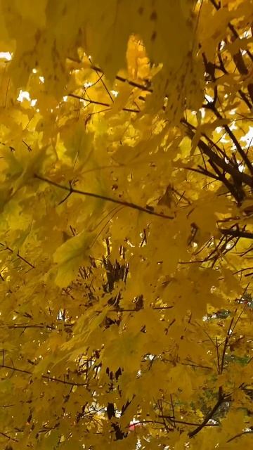 Октябрь 🍂