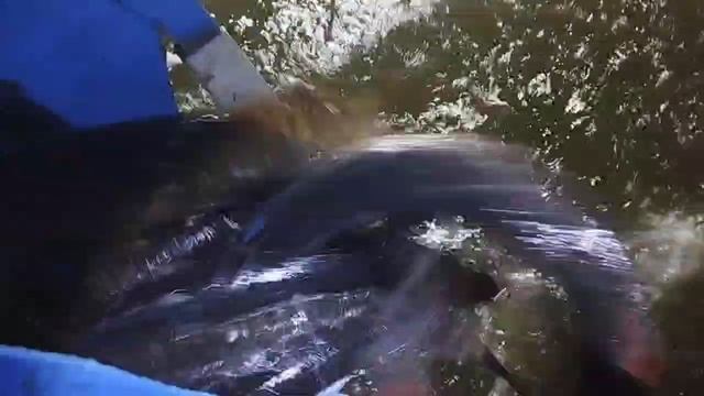 1000037195.mp4