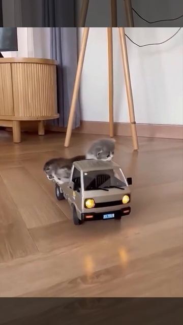 Едем кушать