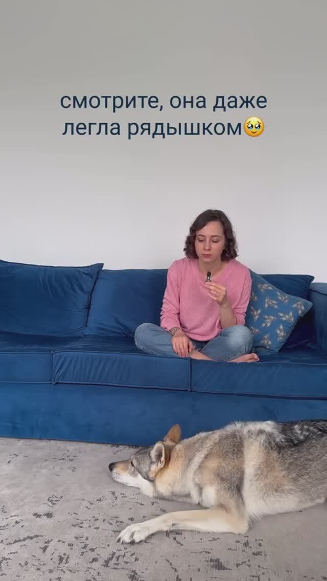 Проводите тест 😂