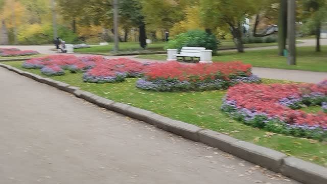 В парке.