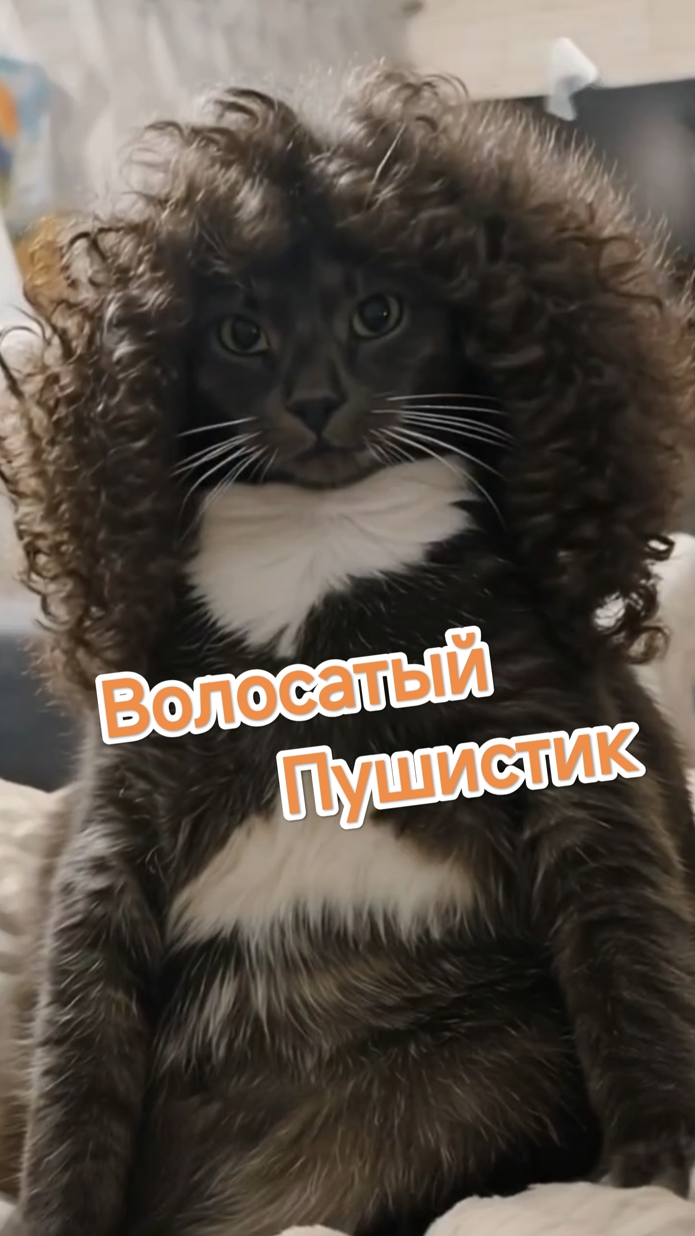 Волосатый Пушистик