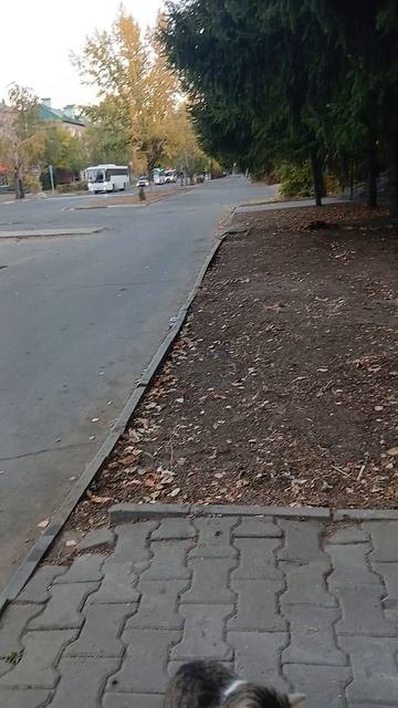1000002861.mp410.10.2025г.