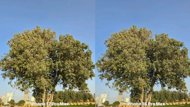 IPhone 17 Pro Max VS IPhone 16 Pro Max Camera Stabilization Test