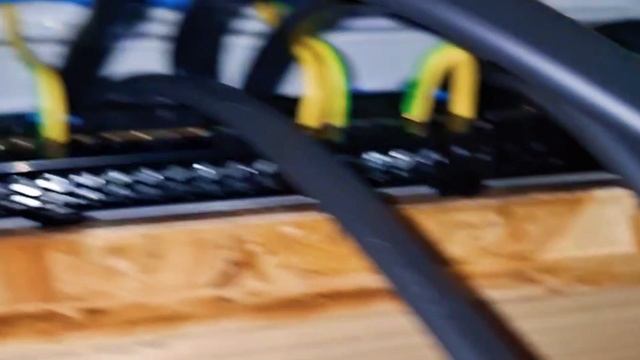 1000036833.mp4 (Собака смотрит на монтаж электропроводки (в э/щите) в доме А-фрейм)