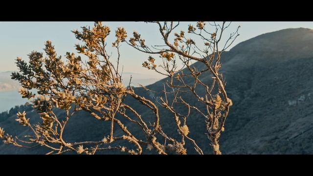 Apple Log On IPhone 17 Pro   Cinematic Sunset At Golden Gate Bridge
