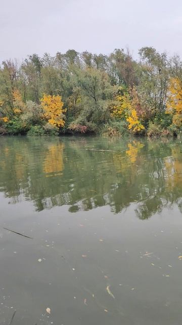 Клёв слабый но ловится