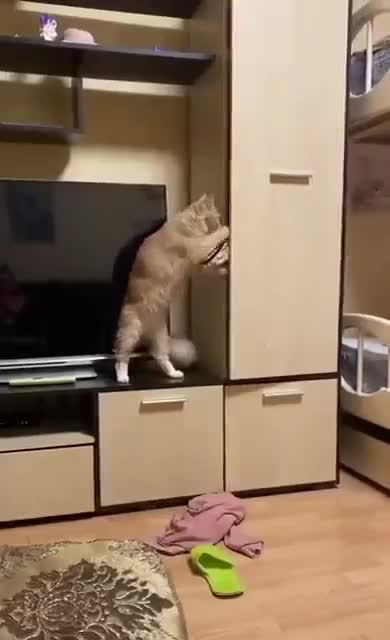 Когда забыл, где заначка🙂