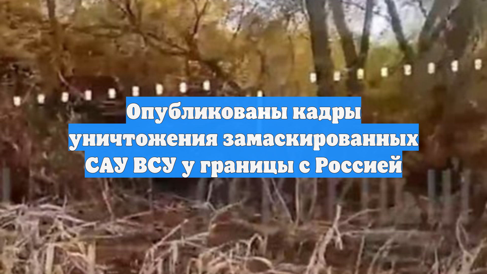 Опубликованы кадры уничтожения замаскированных САУ ВСУ у границы с Россией