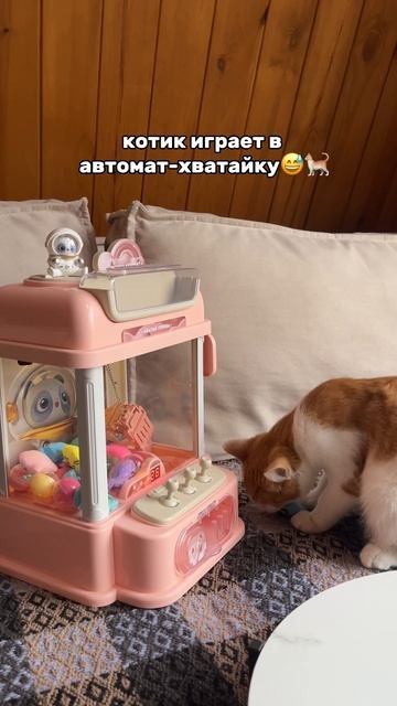 Хватайка на Wildberries артикул WW175739