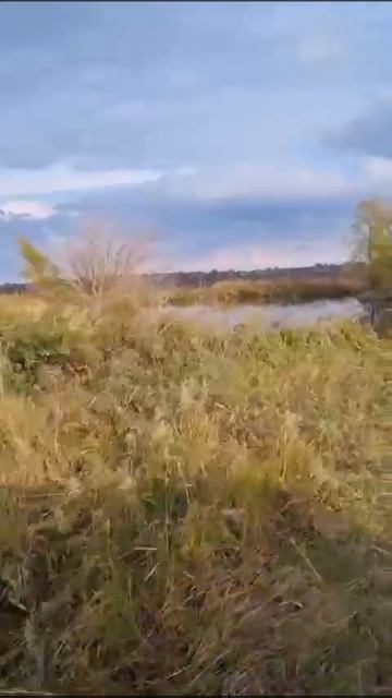 Сельхозка 10Га.