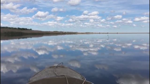 Фильм ВВ Отчет о самоизоляции