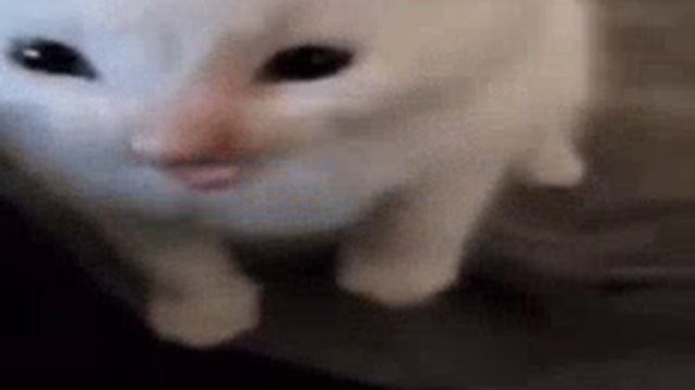 VID-20250907-WA0023.mp4