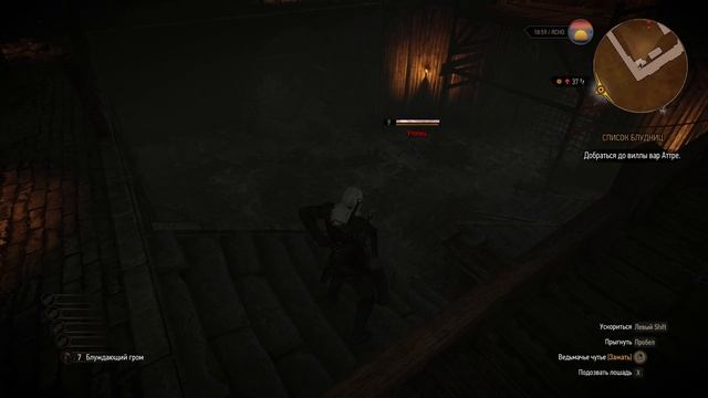 The Witcher 3 Wild Hunt ч20