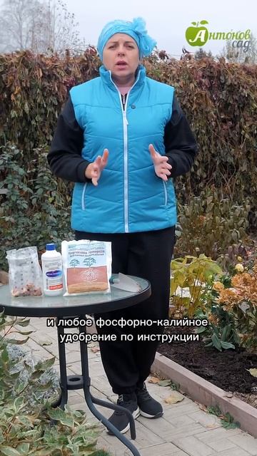 Посадка луковичных цветов: подготовьте грунт так!