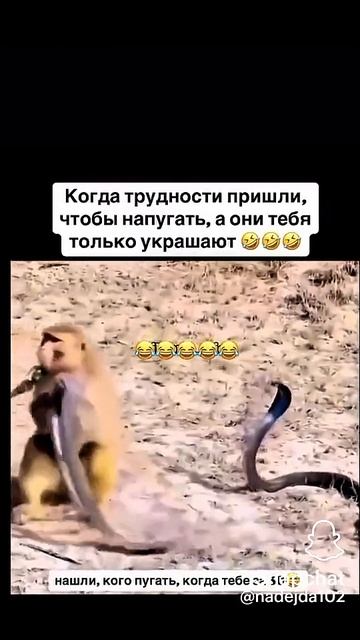как тебе это😂🤣🤣🤣😂