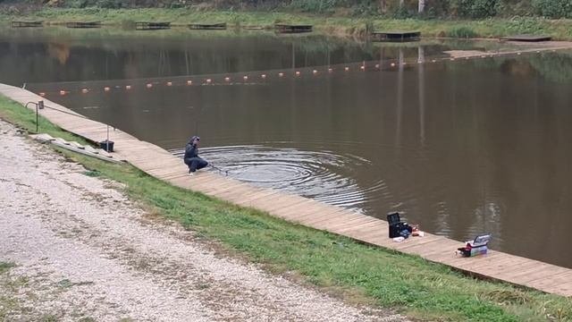 Forest Fishing 10.10.25