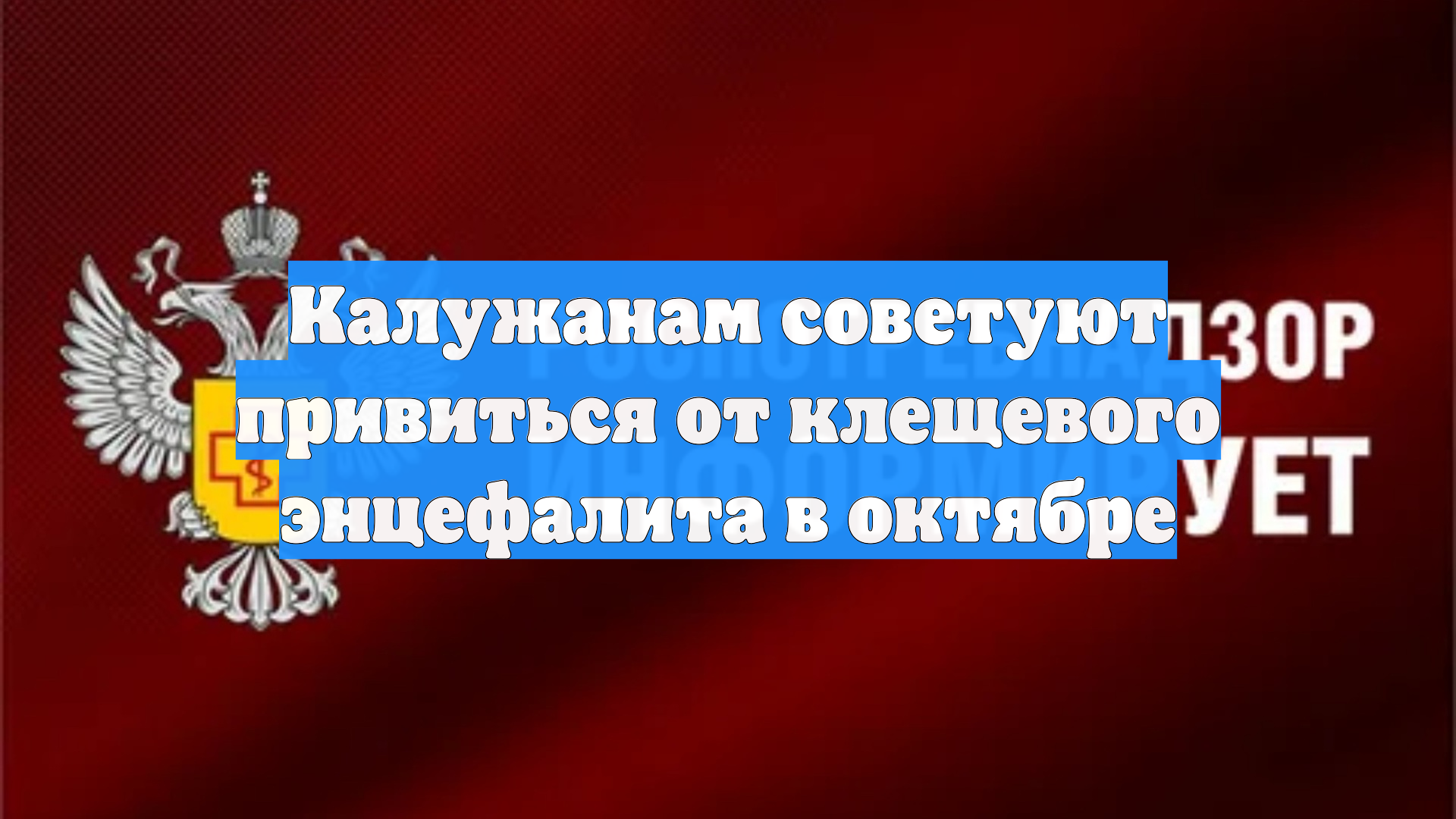 Калужанам советуют привиться от клещевого энцефалита в октябре