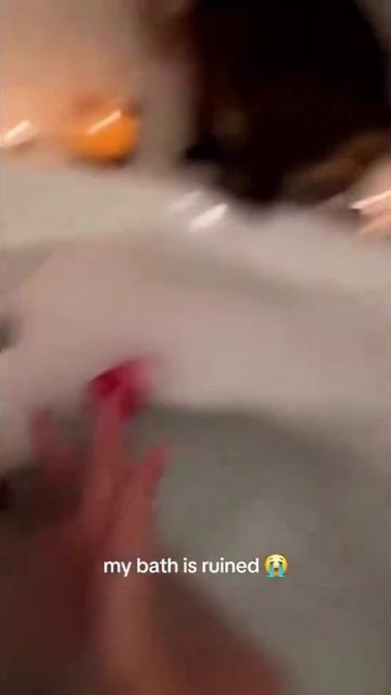 13442.mp4