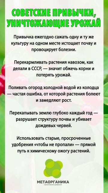 Советские привычки, которые уничтожают урожай