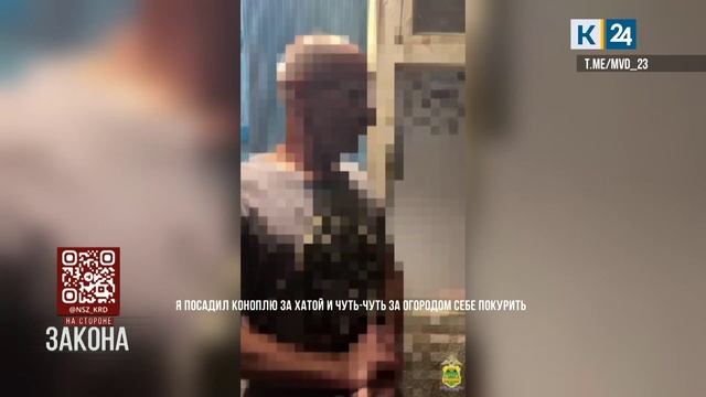 Полицейские изъяли у наркофермера 10 кг конопли в Тимашевском районе