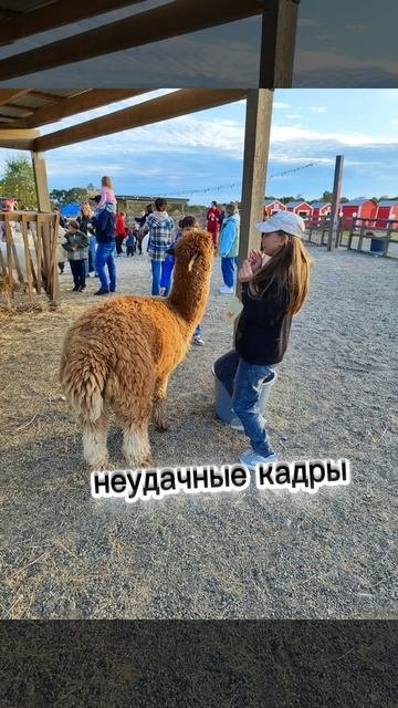 #неудачные кадры