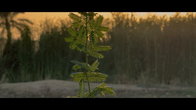 IPhone 17 Pro Cinematic 4k   Video Test