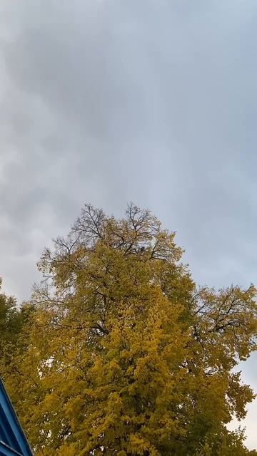 Праздник Апостола и Евангелиста Иоанна Богослова🙏🌿