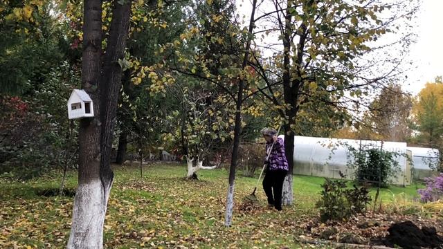 Осень в саду