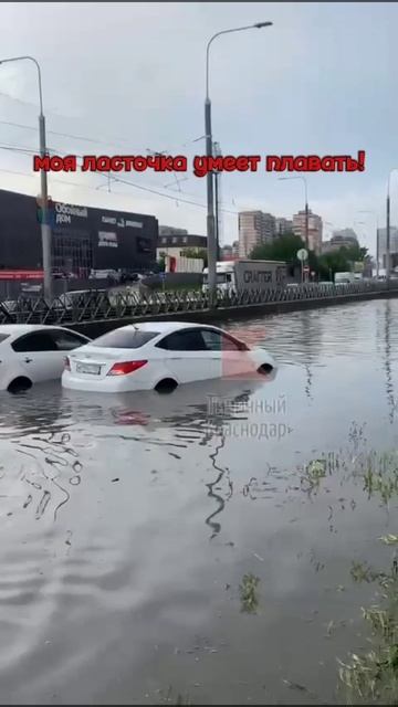 ####моя ласточка плавает##