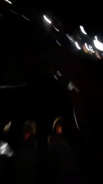 Petal_20251010_223610.mp4