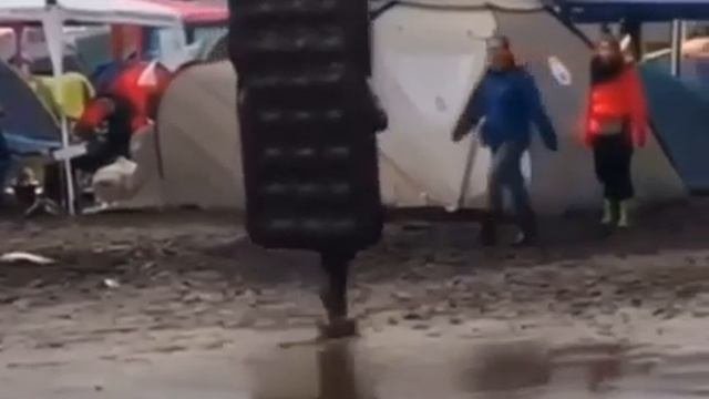 Прикольные видео