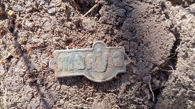 по заростающим полям+15