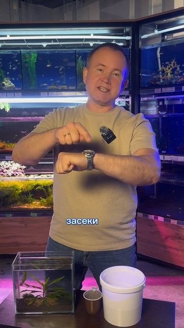 КАК ПЕРЕСАДИТЬ РЫБОК В АКВАРИУМ